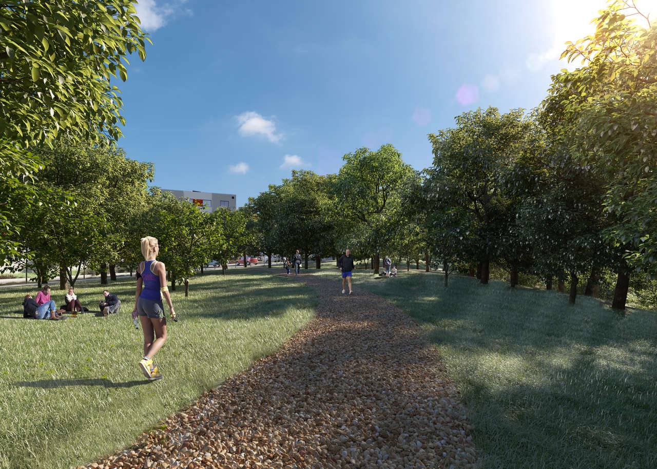 Vittace Reserva I e II | Cambé