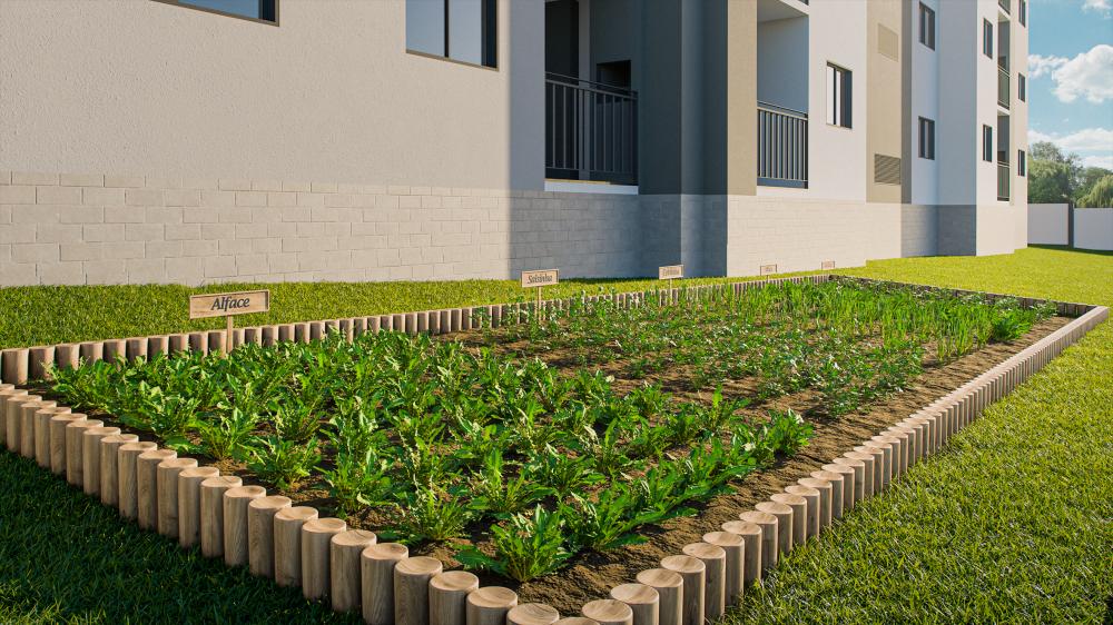 Terra de Santa Cruz II