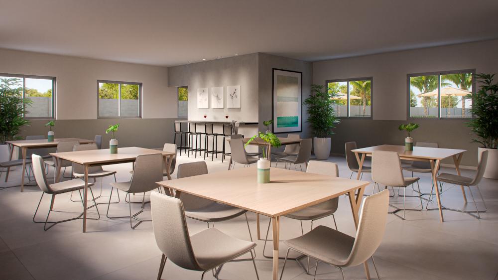 Terra de Santa Cruz II