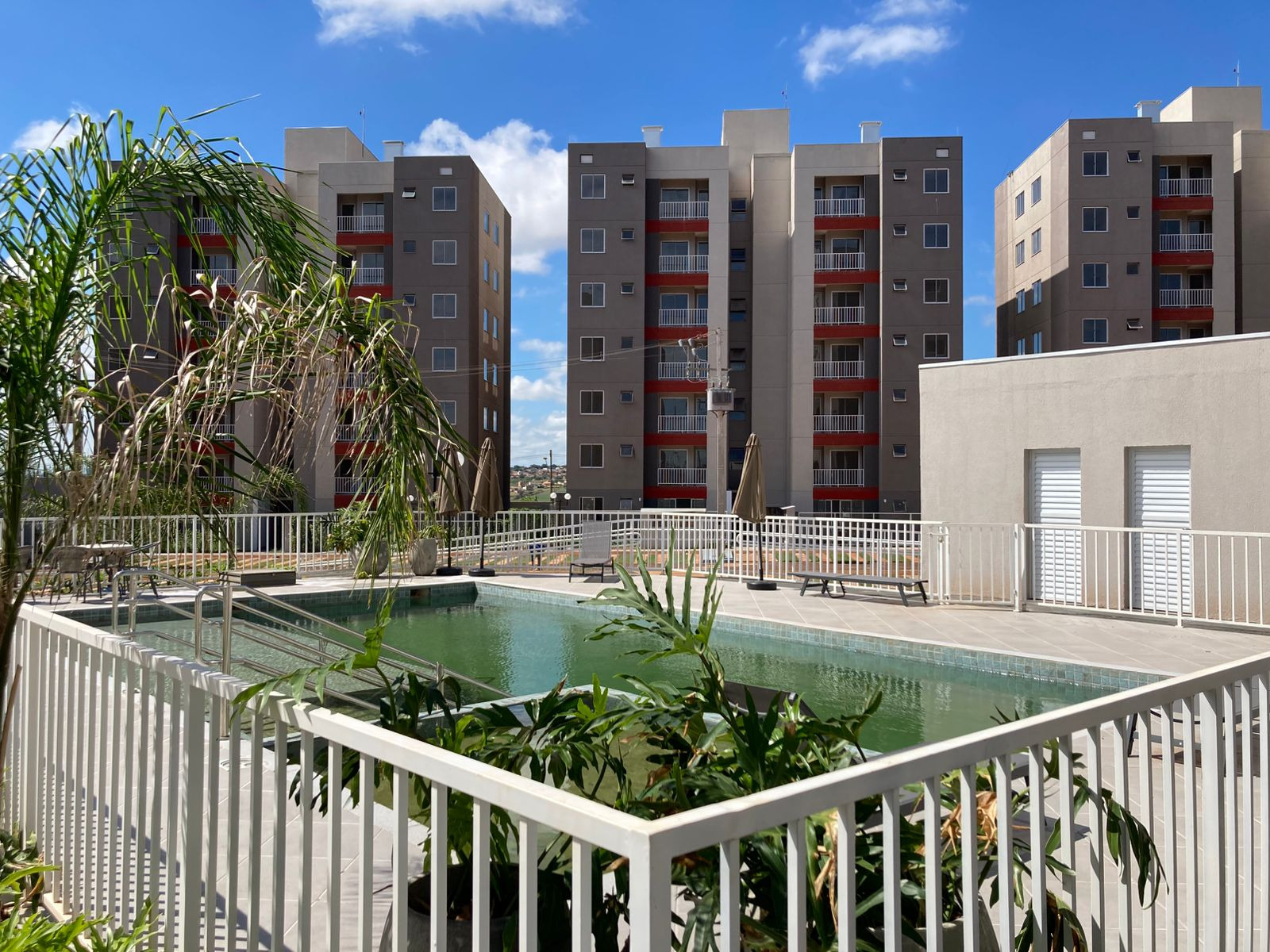 London Red - Londrina