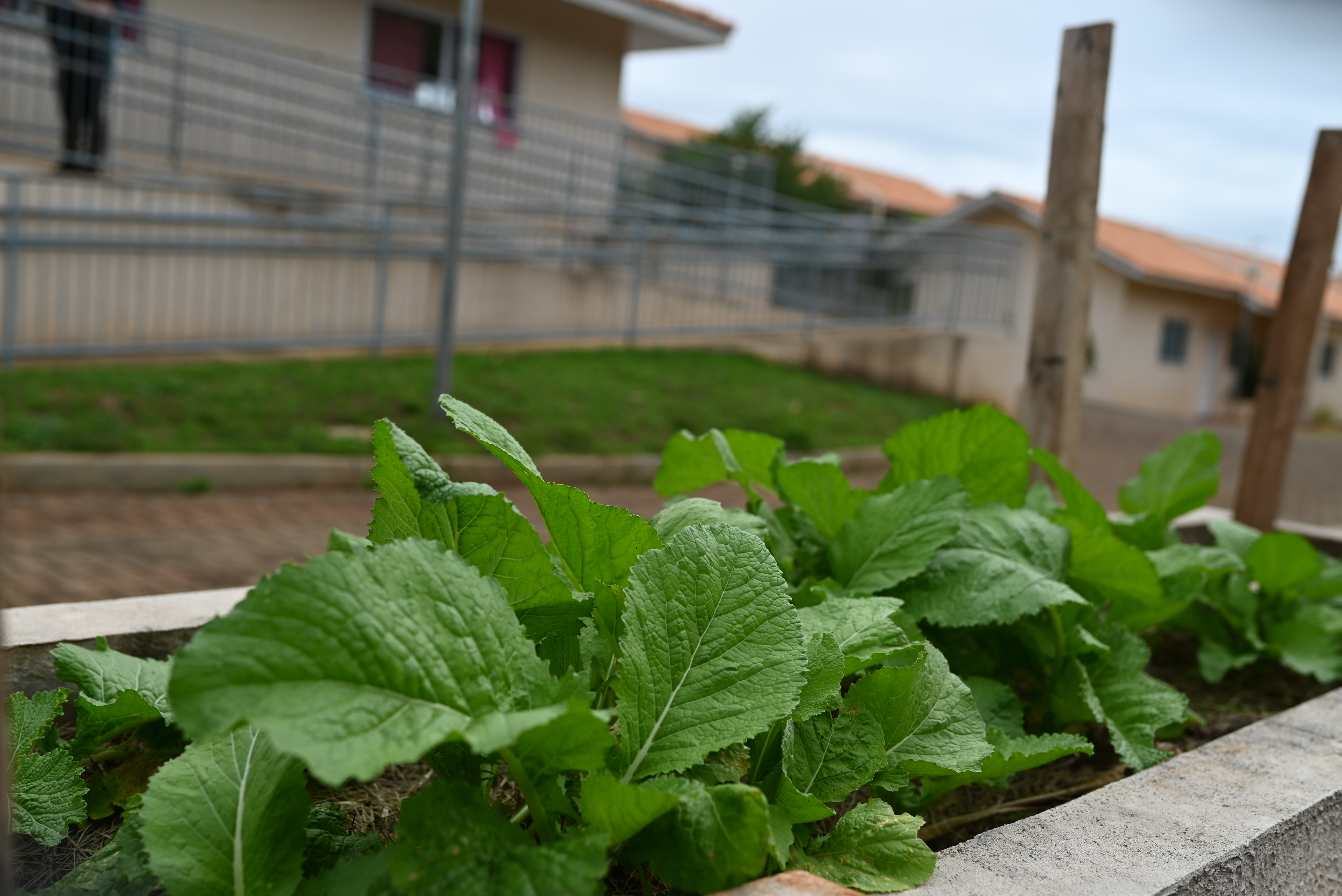 Viver Mais - Foz do Iguaçu