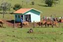 Governo do Paraná e Banco do Brasil financiarão construção de moradias para agricultores familiares