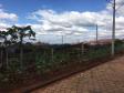 Construção de casas populares vai beneficiar 26 famílias de Prado Ferreira