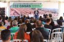 Casa Fácil Paraná: Darci Piana entrega casas para 292 famílias de Ponta Grossa
