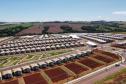 Com subsídios do Estado, Arapongas ganha novo bairro planejado com 748 casas