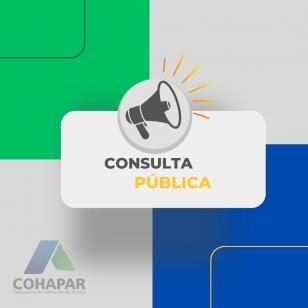 Consulta Pública no município de Santa Lúcia – Vida Nova