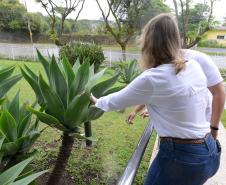 Cohapar reforça campanha estadual de combate à dengue