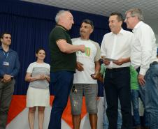 Balanço 2019