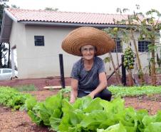 Governo do Paraná e Banco do Brasil financiarão construção de moradias para agricultores familiares