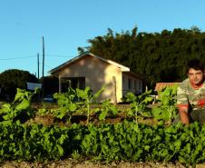 Governo do Paraná e Banco do Brasil financiarão construção de moradias para agricultores familiares