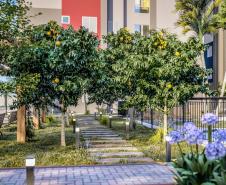 London Garden I | Londrina