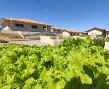 Governador inaugura condomínio para idosos com 40 casas em Foz do Iguaçu