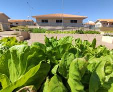 Governador inaugura condomínio para idosos com 40 casas em Foz do Iguaçu