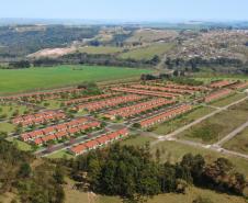 Campobello Gold Q02