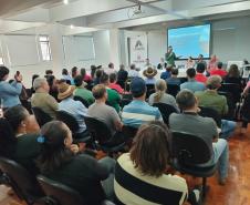 Cohapar entrega 257 títulos de regularização fundiária em Douradina, Ribeirão do Pinhal e Turvo