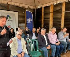 65 famílias de Califórnia recebem moradias financiadas pela Cohapar