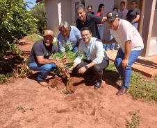 Com recursos do Casa Fácil, Cohapar entrega moradias rurais para famílias de Altônia