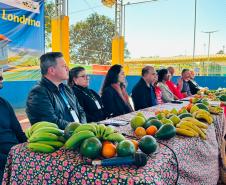 Parceria entre Estado, União e Município viabiliza moradias para assentados em Londrina