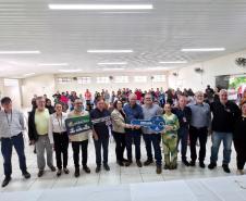 Jandaia do Sul