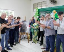Jandaia do Sul
