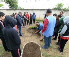 O presidente da Cohapar, Jorge Lange, participou nesta segunda-feira (23) do plantio de mudas de pitangueiras junto com alunos do Colégio Estadual Arnaldo Faivro Busato, em Pinhais. O ato simbólico faz parte de uma série de ações em alusão ao programa Paraná Mais Verde, que consiste no plantio de 413 mil mudas nativas nos 399 municípios paranaenses.