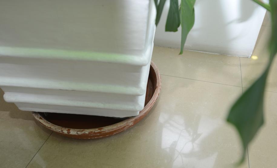 Cohapar reforça campanha estadual de combate à dengue