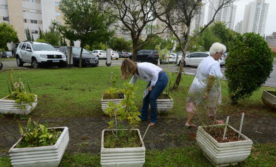 Cohapar reforça campanha estadual de combate à dengue