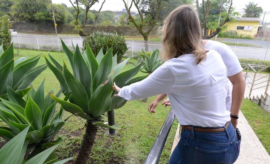 Cohapar reforça campanha estadual de combate à dengue