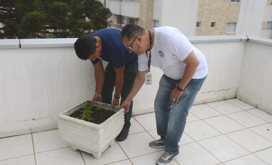 Cohapar reforça campanha estadual de combate à dengue