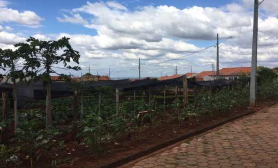 Construção de casas populares vai beneficiar 26 famílias de Prado Ferreira