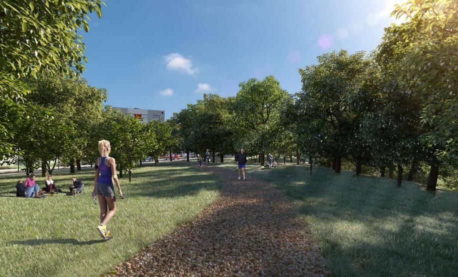 Vittace Reserva I e II | Cambé