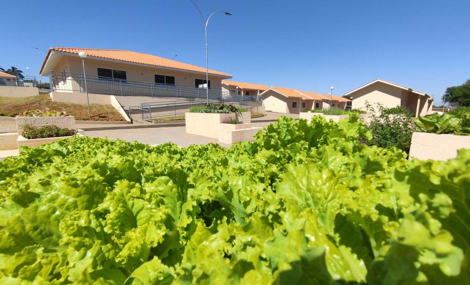 Governador inaugura condomínio para idosos com 40 casas em Foz do Iguaçu