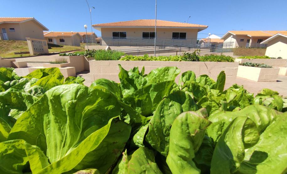 Governador inaugura condomínio para idosos com 40 casas em Foz do Iguaçu