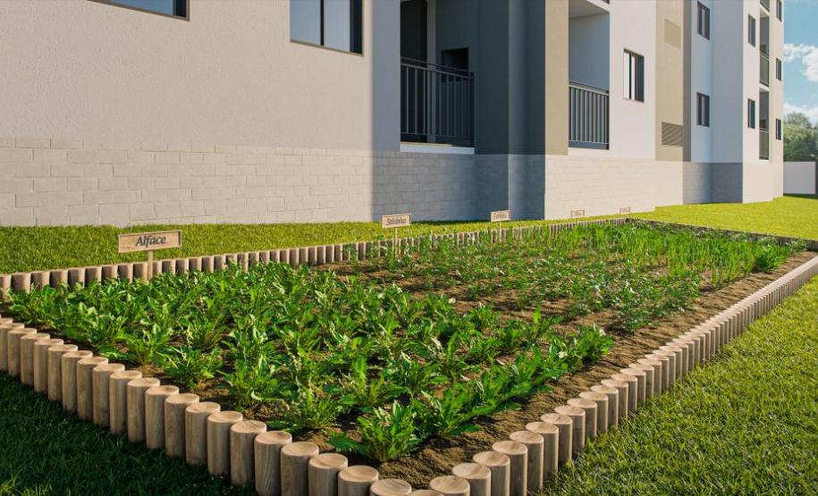 Terra de Santa Cruz II