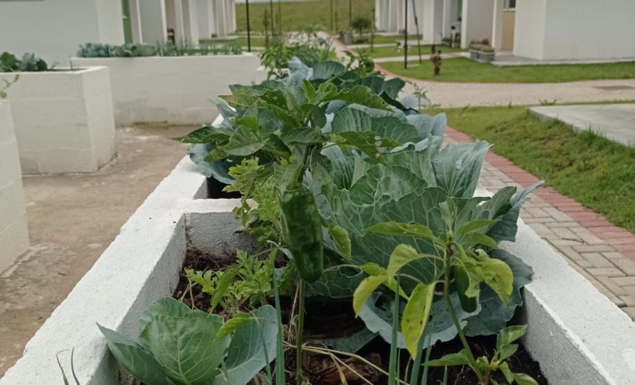  Condomínio do Idoso Prudentópolis