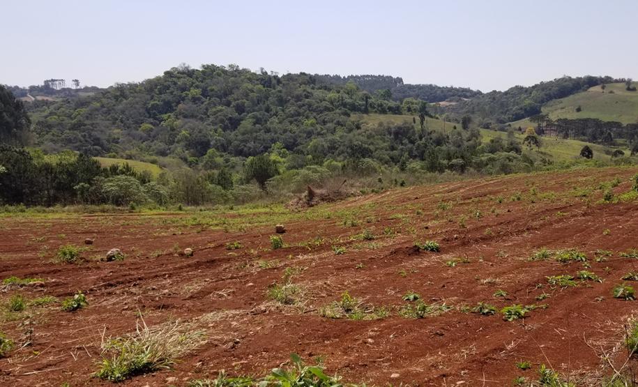 Marmeleiro
Em apenas uma semana, técnicos da Cohapar de Curitiba visitaram as obras de construção de casas populares em 22 municípios do estado. A iniciativa faz parte de um novo modelo de gestão da companhia que visa garantir a qualidade das construções e a celeridade na execução dos trabalhos nos mais diferentes projetos em que a empresa possui participação.